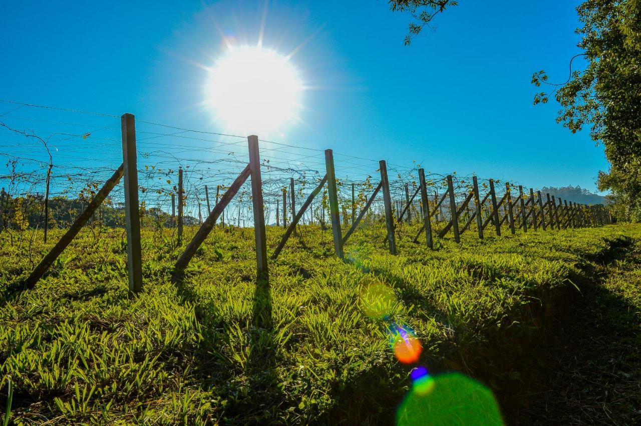 Pousada Vale Dos Figos Urussanga Esterno foto